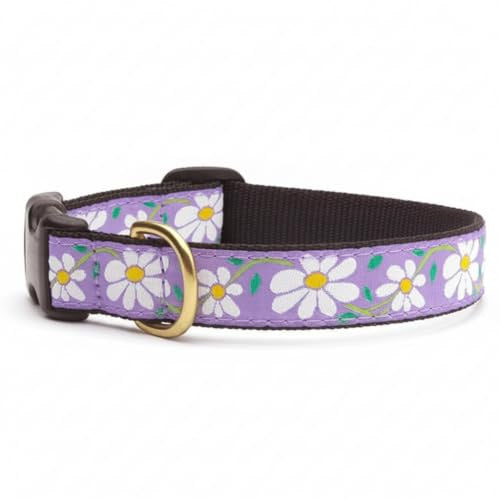 Up Country Daisy Pattern Dog Collar, Medium, 1 in Wide