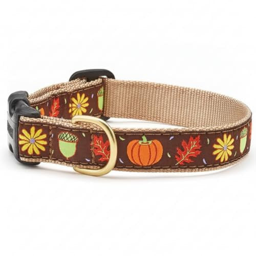 Up Country Harvest Time Pattern Dog Collar, Large, 1 in Wide
