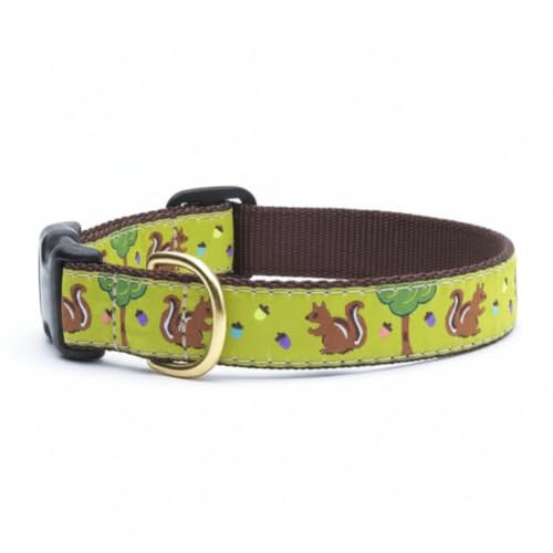 Up Country Nuts Pattern Dog Collar, Small, 5/8 in Wide